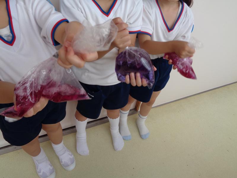 お知らせ｜南足柄の華綾幼稚園（かりょうようちえん）。入園案内・見学 ...